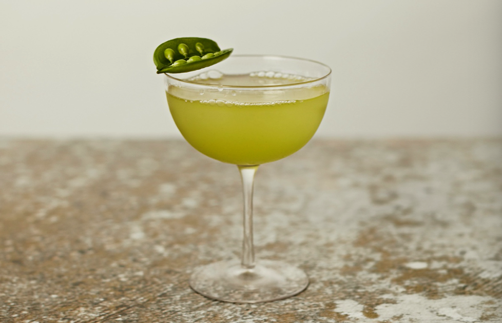 Seedlip Shrub-Making Masterclass £25 pp